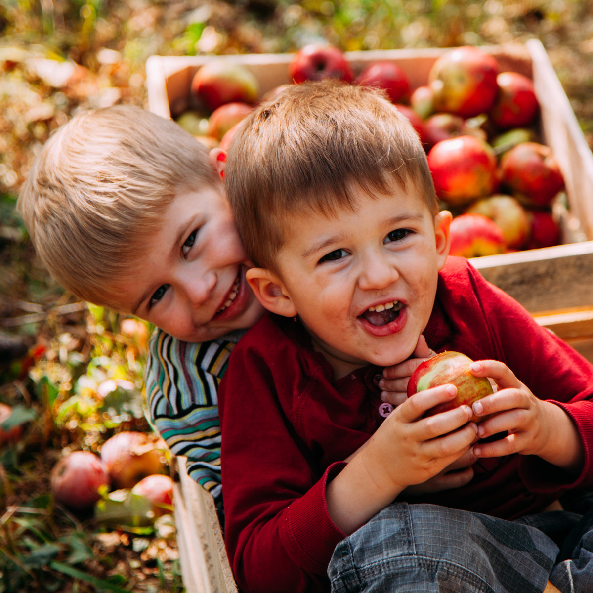 little boys smiling in apple orchard, crunchy granola blog